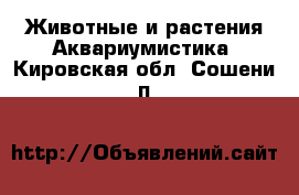 Животные и растения Аквариумистика. Кировская обл.,Сошени п.